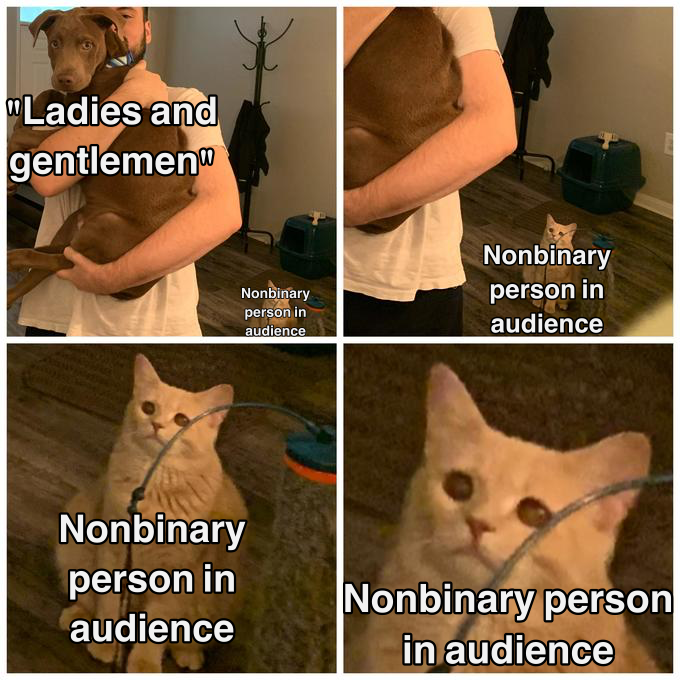 Zooming in on a white cat in the background